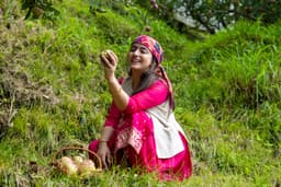 Hand-picking apples